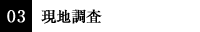03 現地調査